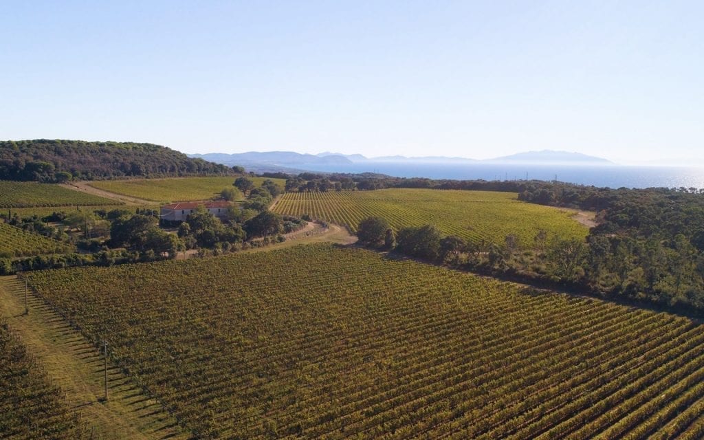 Bolgueri - Bolgheri Wine Tours