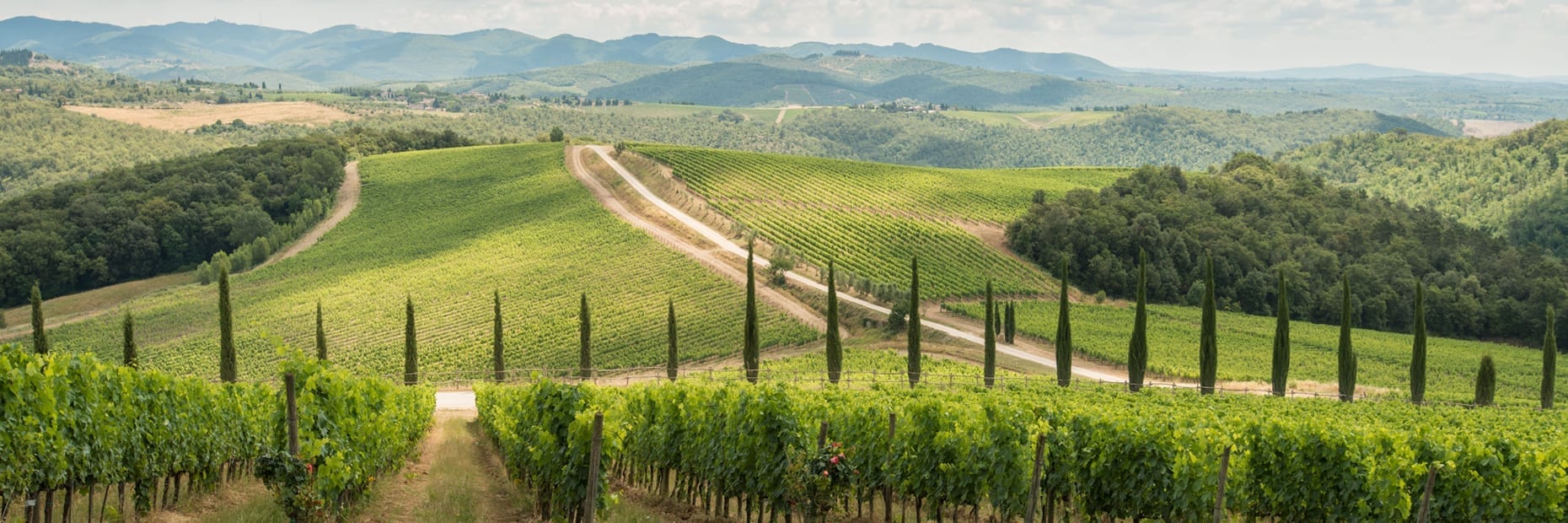 Chianti Classico Wine Tours