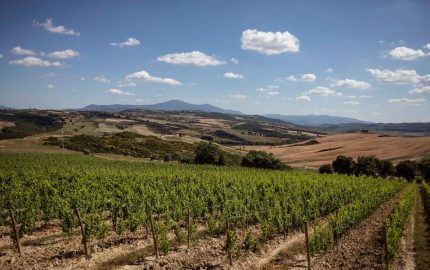 winery tour in tuscany