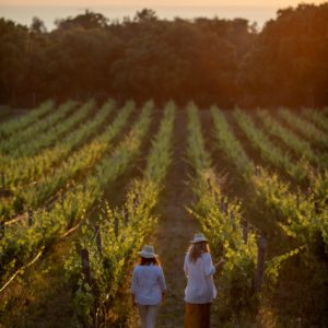 winery tours tuscany